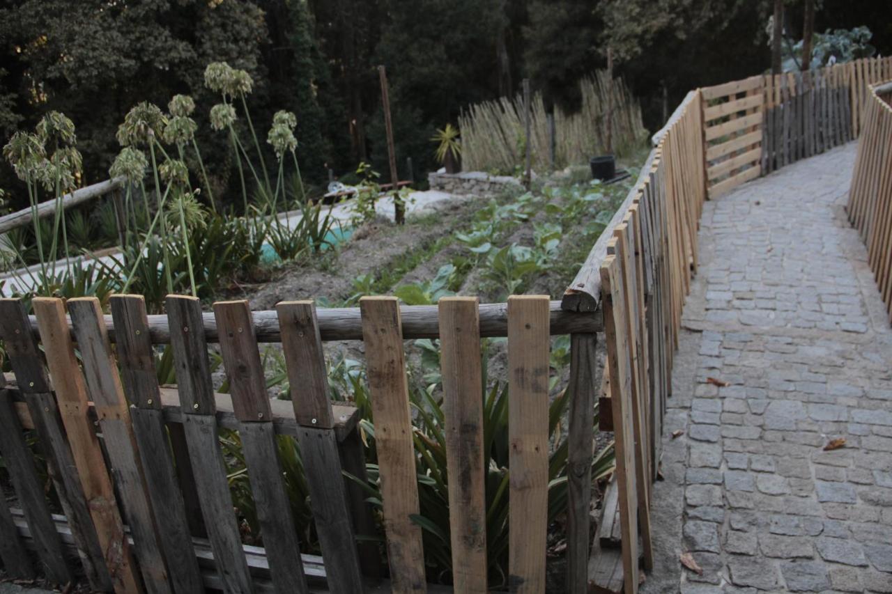 Bosque Dos Amieiros Villa Marco de Canavezes Exterior foto